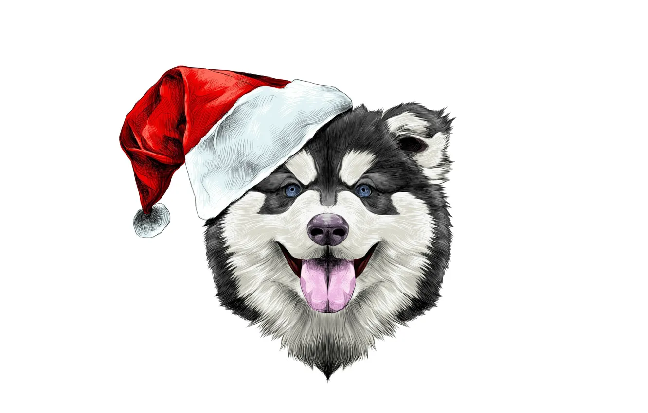 Photo wallpaper happiness, holiday, hat, new year, dog, hat, new year, happy