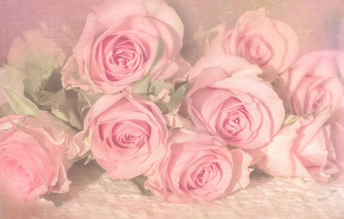 Photo wallpaper roses, bouquet, lie