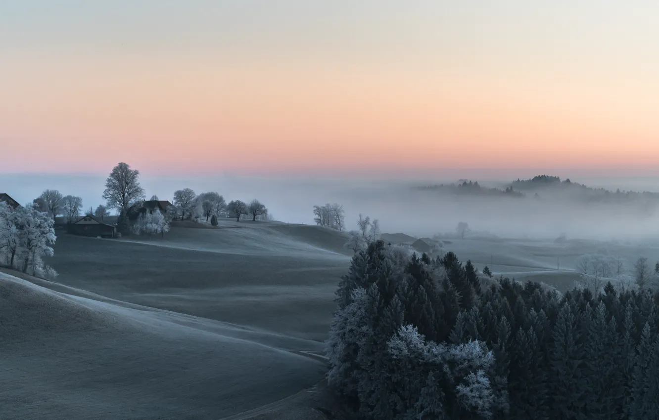 Photo wallpaper winter, fog, morning