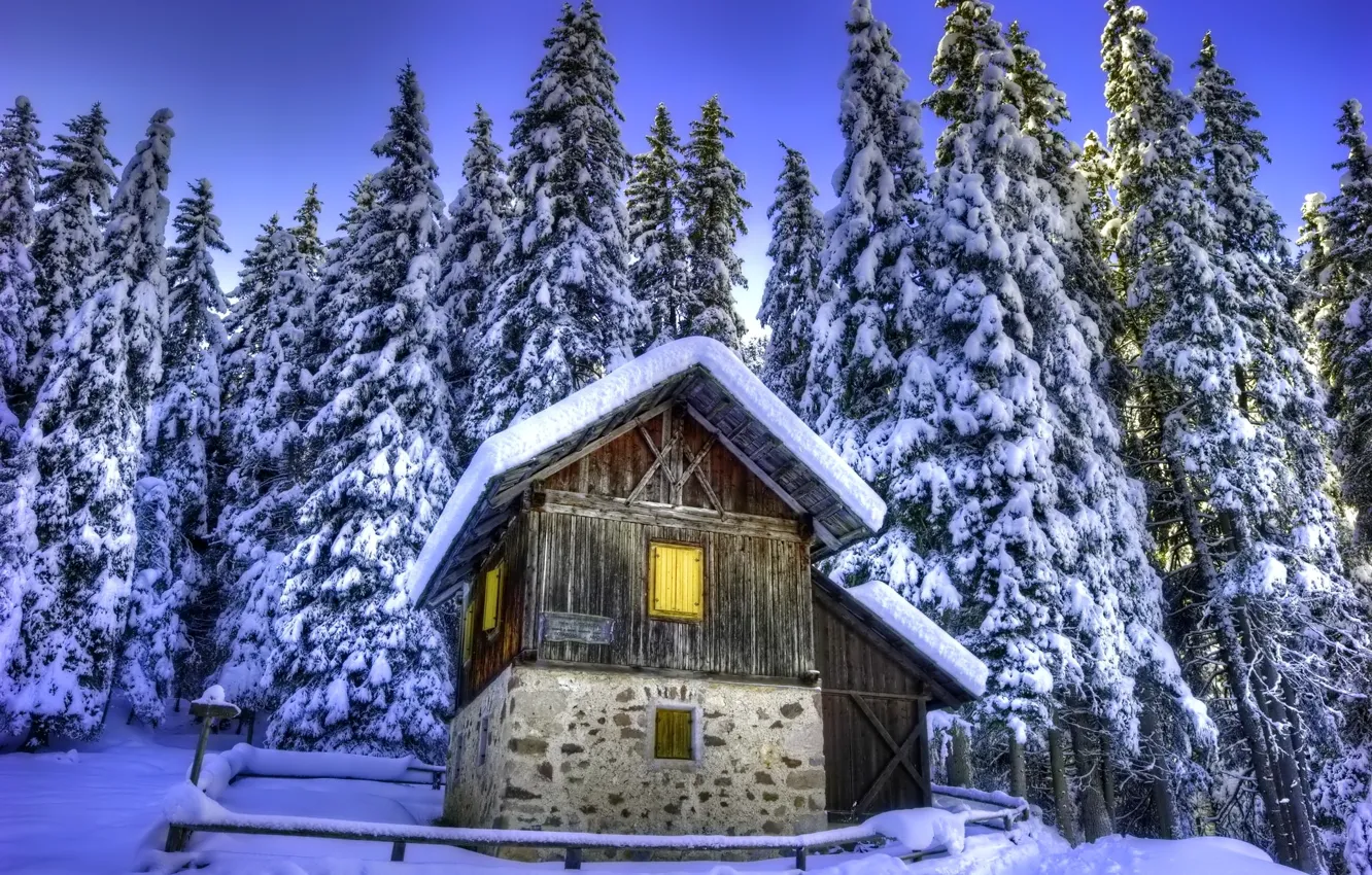 Photo wallpaper winter, snow, trees, nature, spruce, house