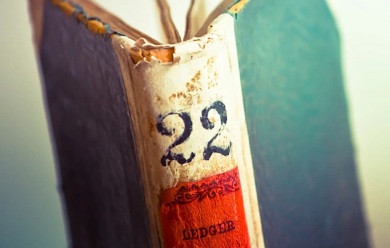 Photo wallpaper book, page, roots, ledger