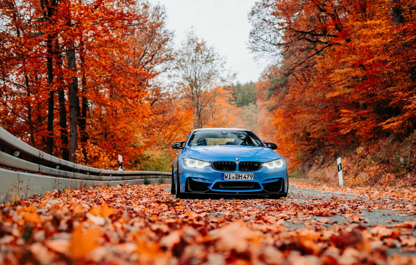 Photo wallpaper BMW, Blue, Autumn, Road, F82, Sight, LED