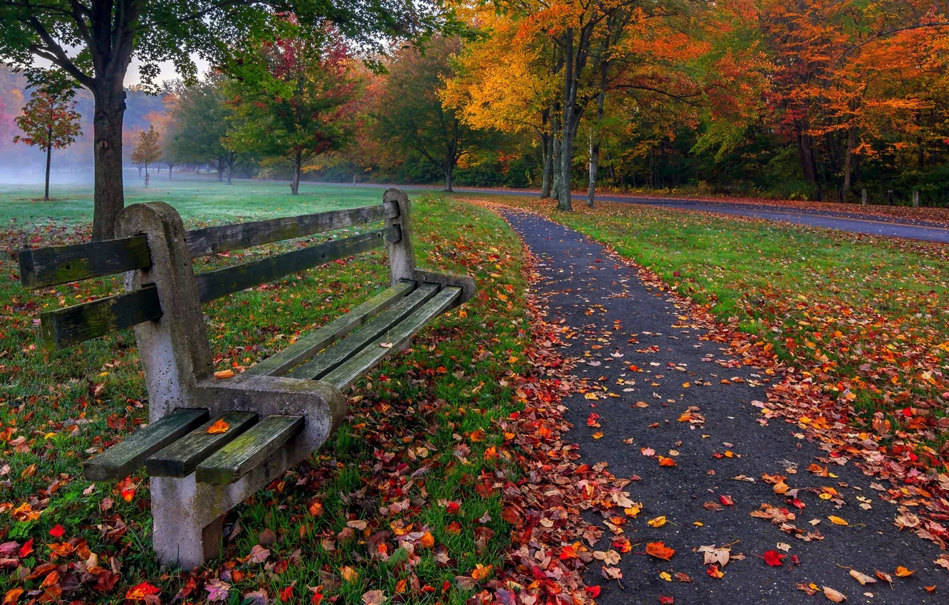 Photo wallpaper autumn, grass, leaves, trees, bench, nature, Park, colors