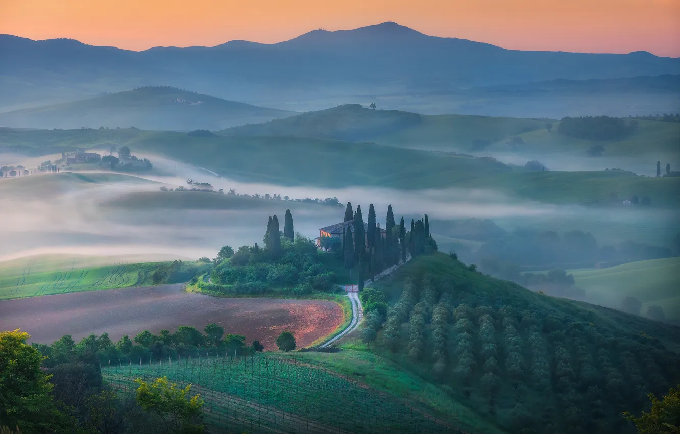 Photo wallpaper Mountains, horizon, Valley, picturesque landscape, Flowing Fog, Lukas Trixl