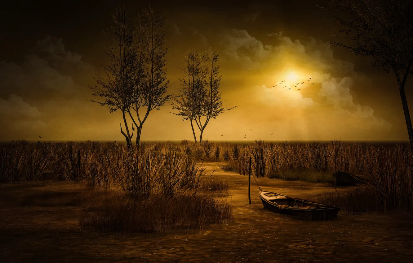 Photo wallpaper the sky, the sun, clouds, light, trees, landscape, sunset, nature