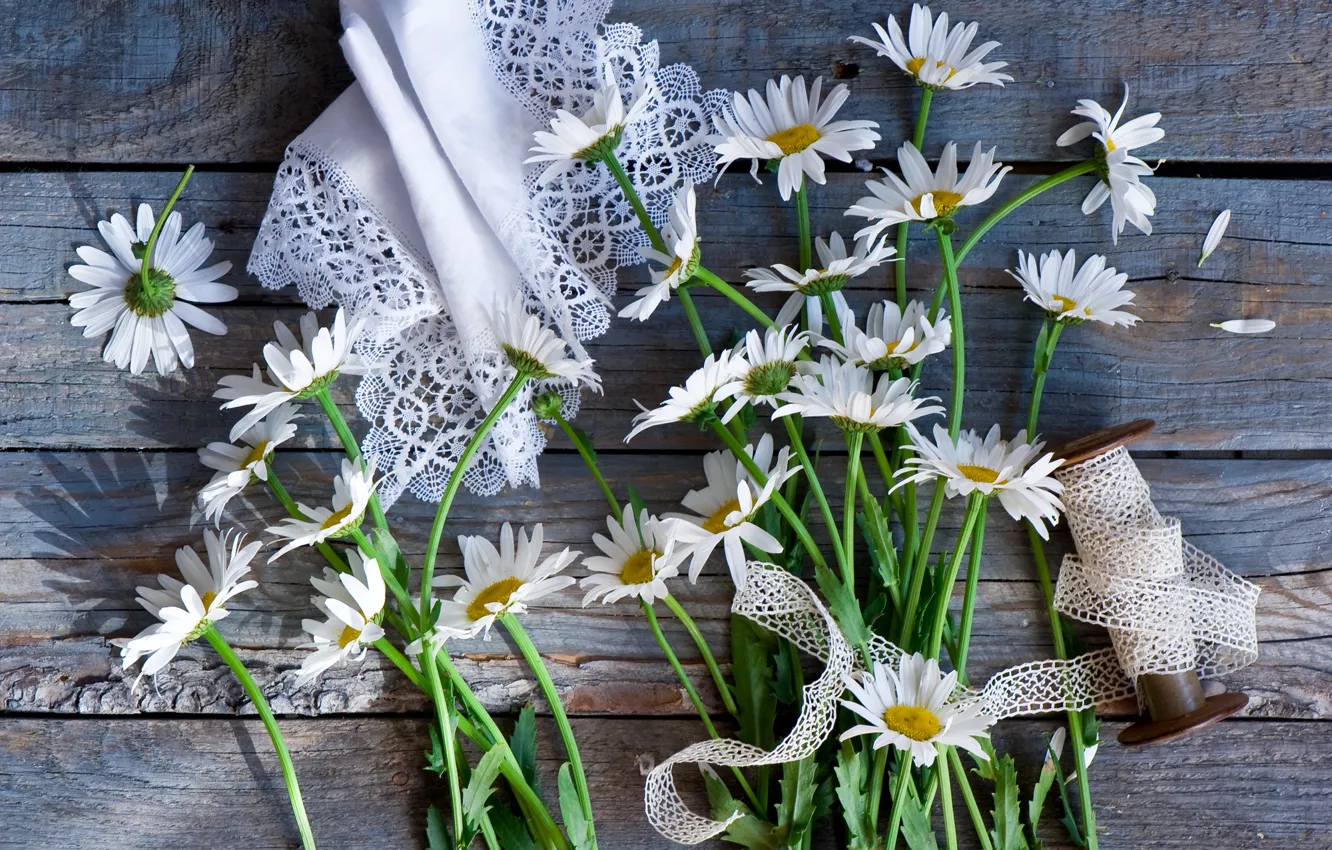 Photo wallpaper chamomile, napkin, braid, coil