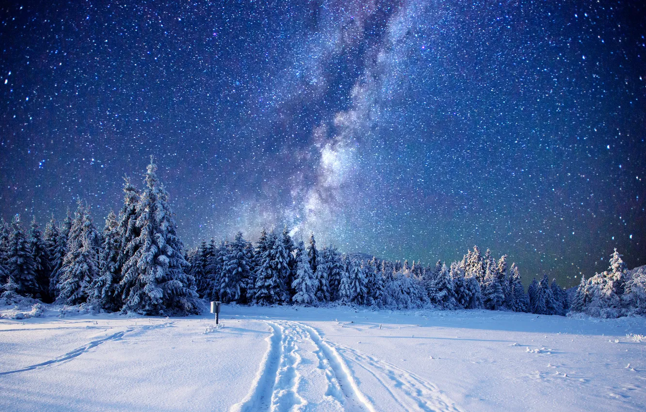 Photo wallpaper winter, forest, the sky, stars, snow, trees, glade, the milky way