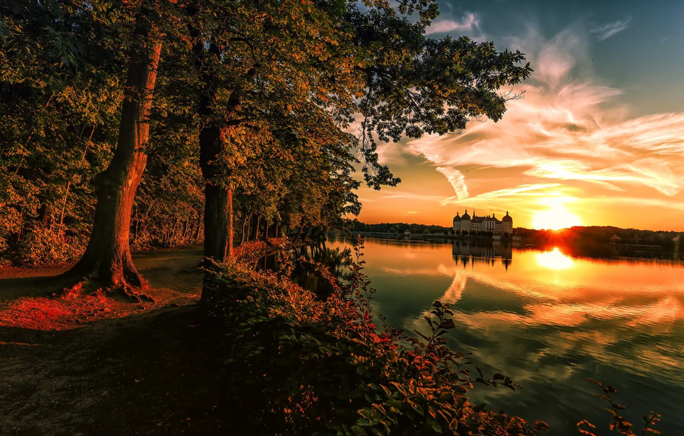 Photo wallpaper the sky, the sun, clouds, light, trees, sunset, Park, reflection