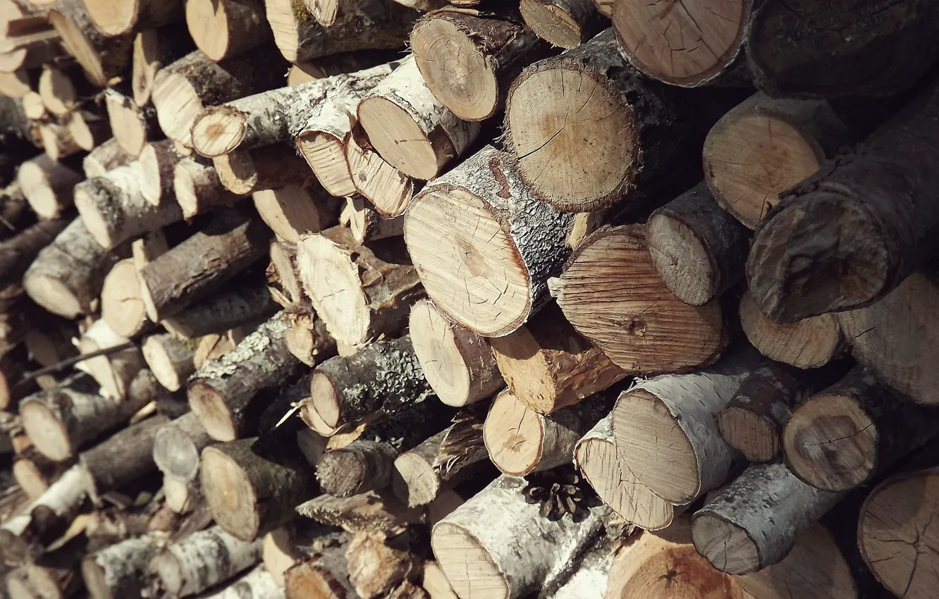 Wallpaper tree, texture, logs for mobile and desktop, section текстуры ...