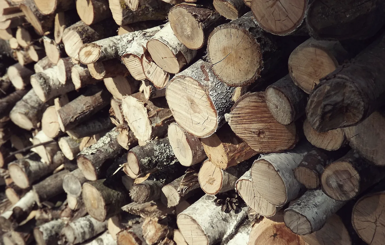Photo wallpaper tree, texture, logs