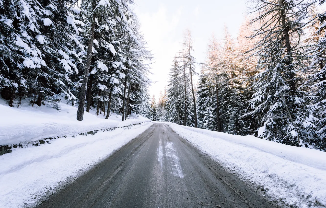 Photo wallpaper winter, road, forest