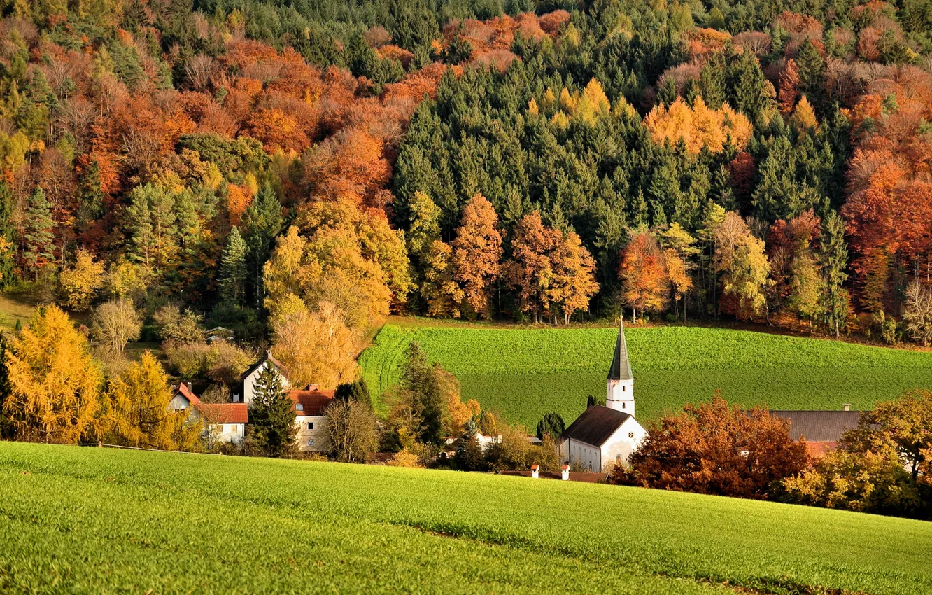 Photo wallpaper field, autumn, forest, trees, hills, home, Church