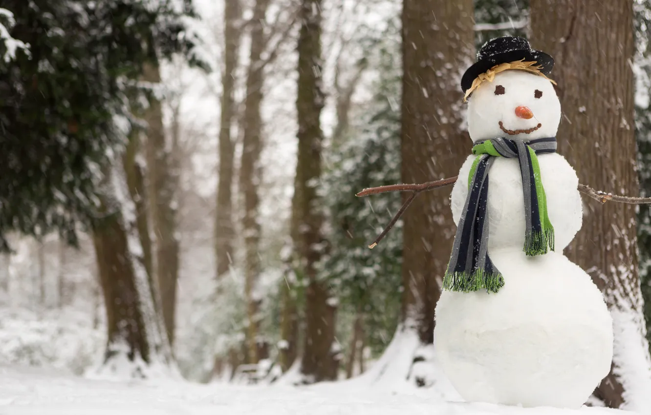 Photo wallpaper winter, snow, hat, carrot, scarf, snowman, forest. trees