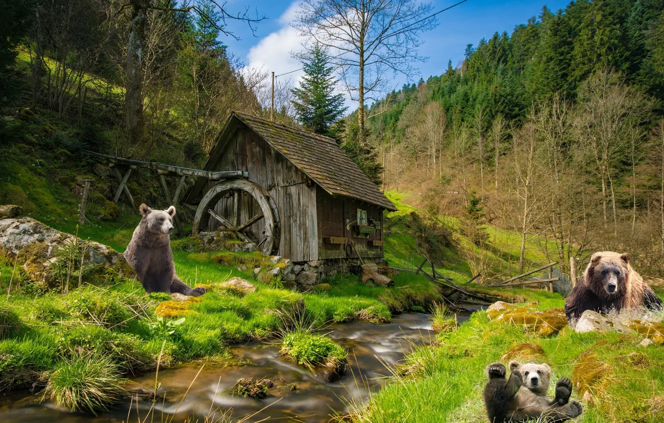 Photo wallpaper forest, rendering, bear, bear, mill, water mill