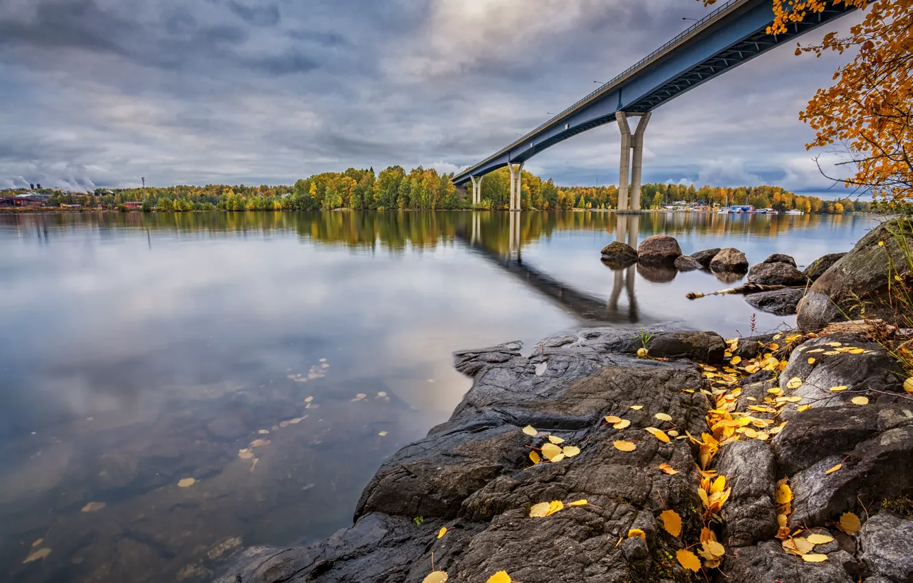 Photo wallpaper autumn, forest, trees, bridge, stones, shore, foliage, falling leaves