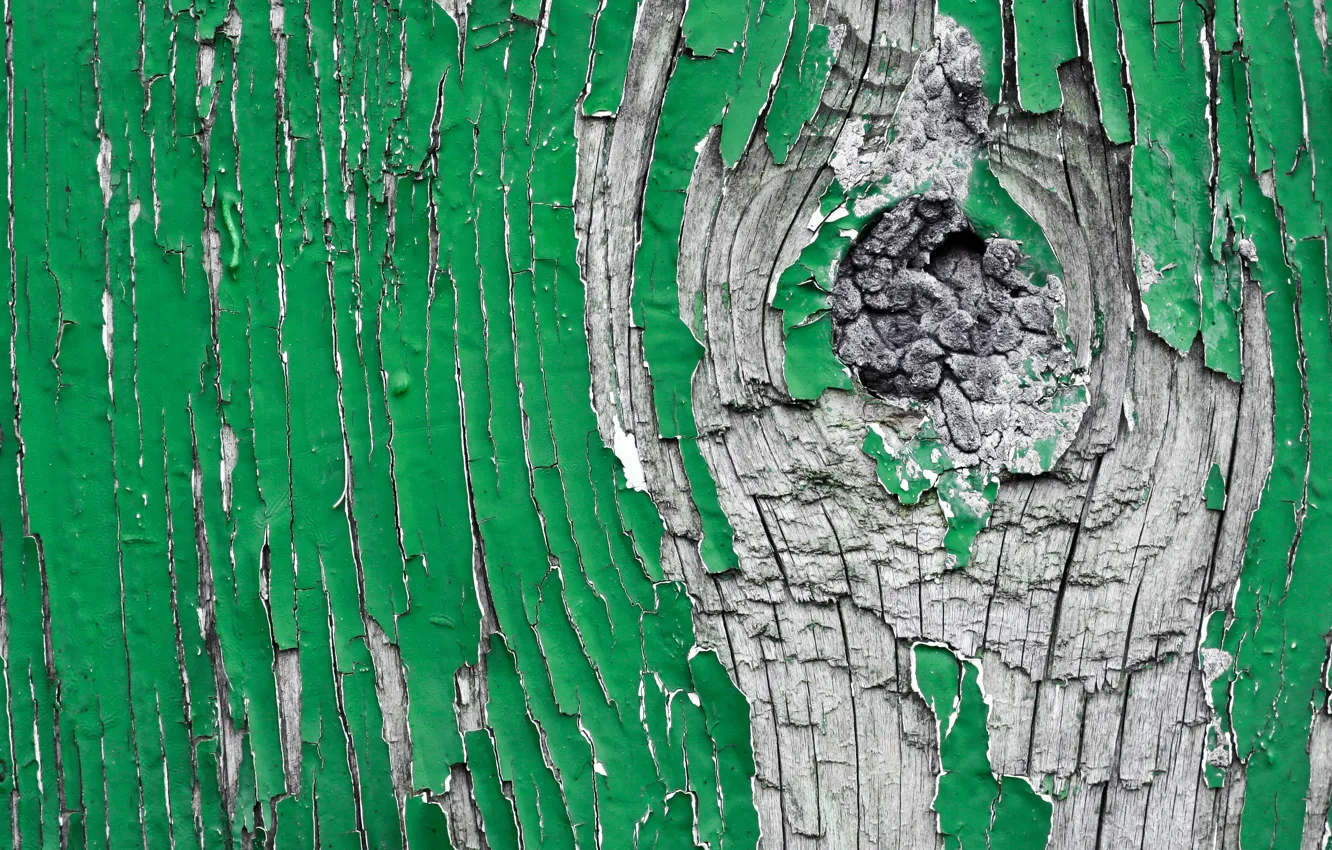 Photo wallpaper green, wood, pattern, gray