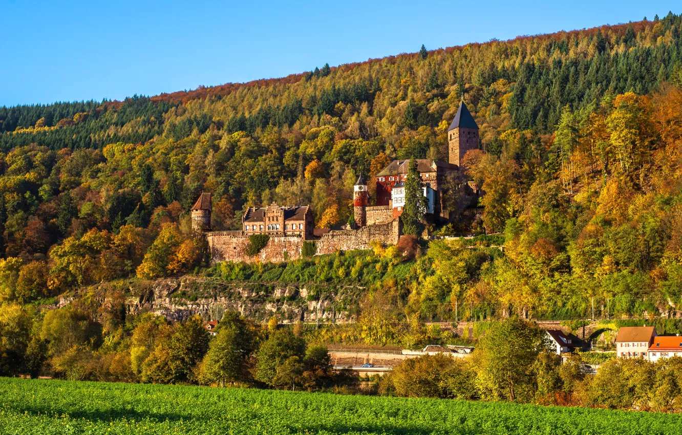 Photo wallpaper autumn, castle, Germany, Germany, Baden-Wurttemberg, Zwingenberg, The Castle Of Zwingenberg