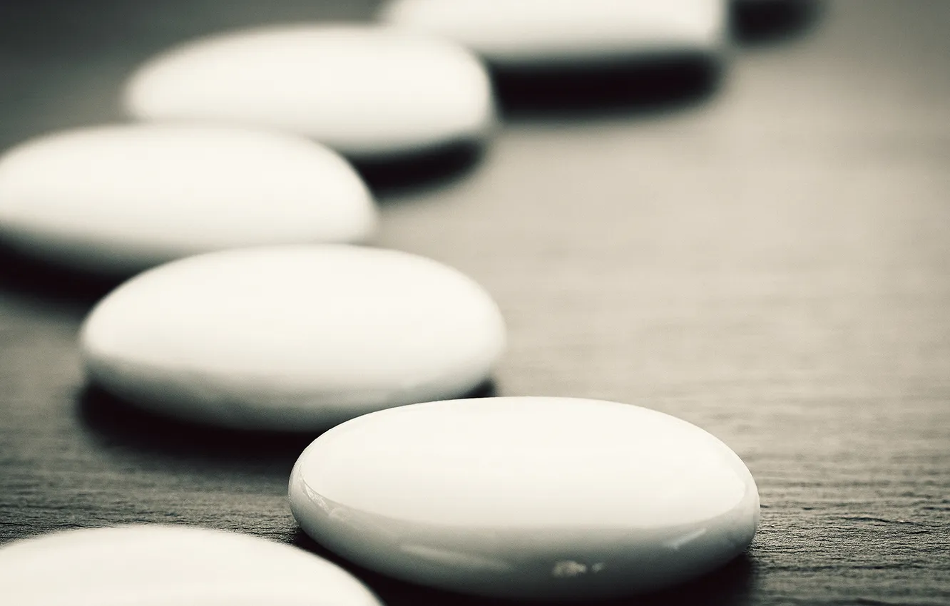 Photo wallpaper macro, photographer, photography, photographer, macro, Björn Wunderlich