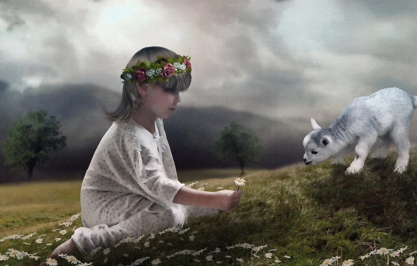 Photo wallpaper child, Daisies, Sheep, photomanipulate