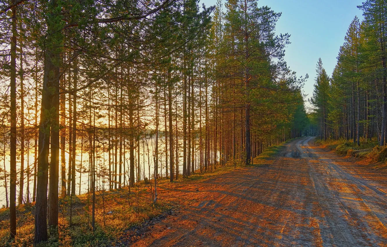 Photo wallpaper road, forest, landscape, river