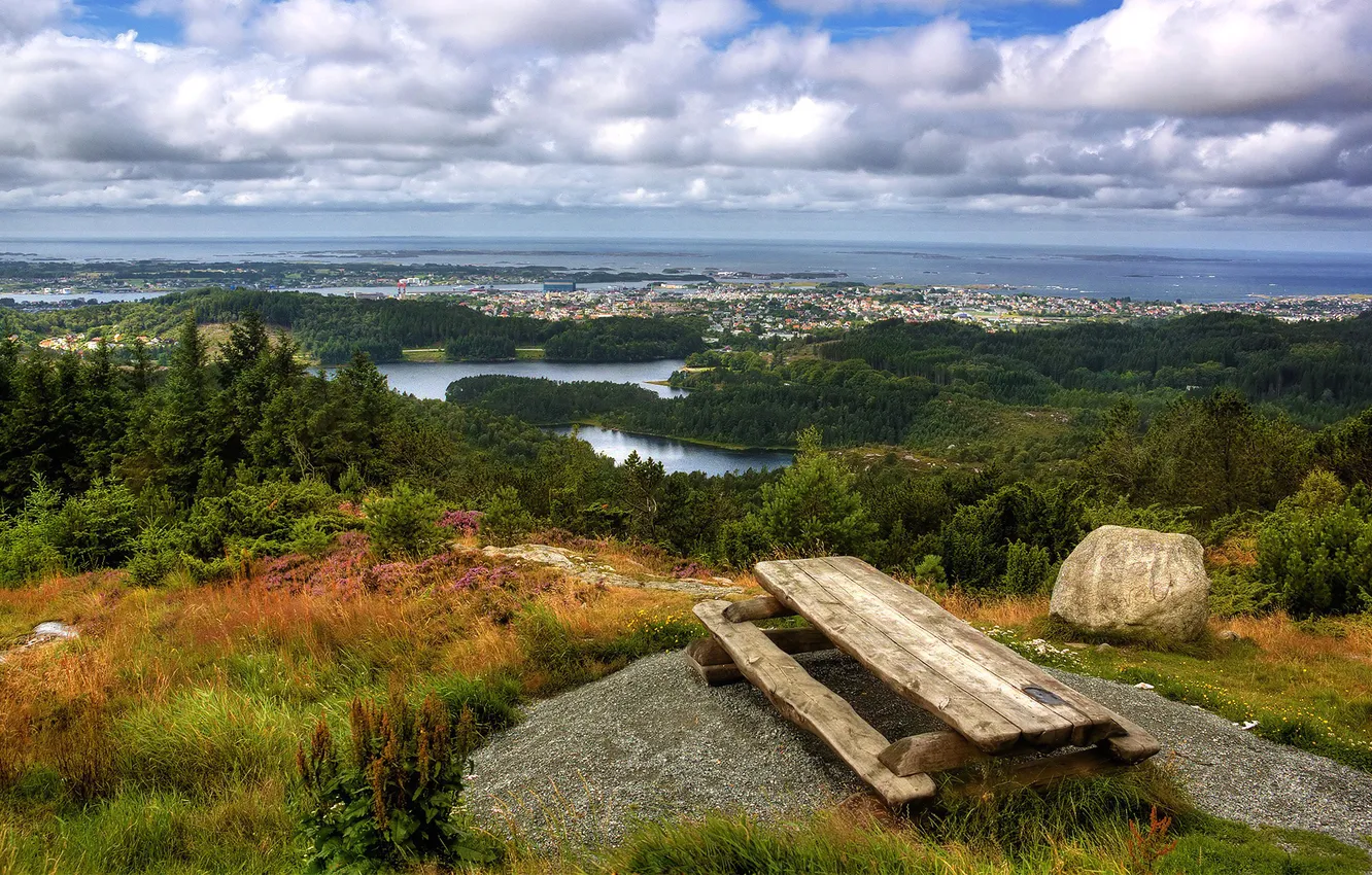 Photo wallpaper forest, grass, water, trees, landscape, nature, the city, table