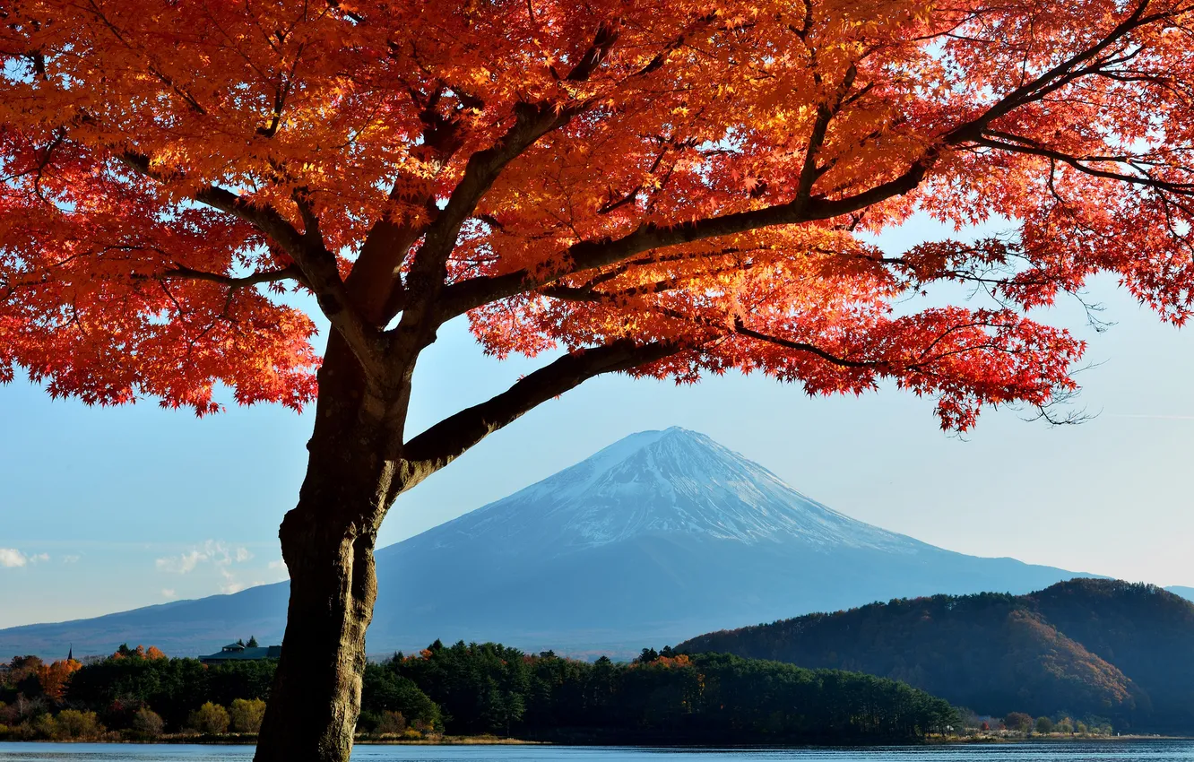 Photo wallpaper autumn, the sky, leaves, trees, lake, Japan, mount Fuji