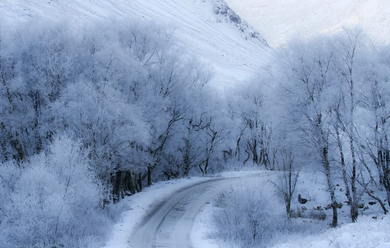 Photo wallpaper winter, road, snow