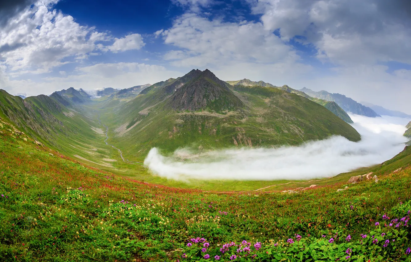Photo wallpaper the sky, clouds, mountains, valley, summer.flowers
