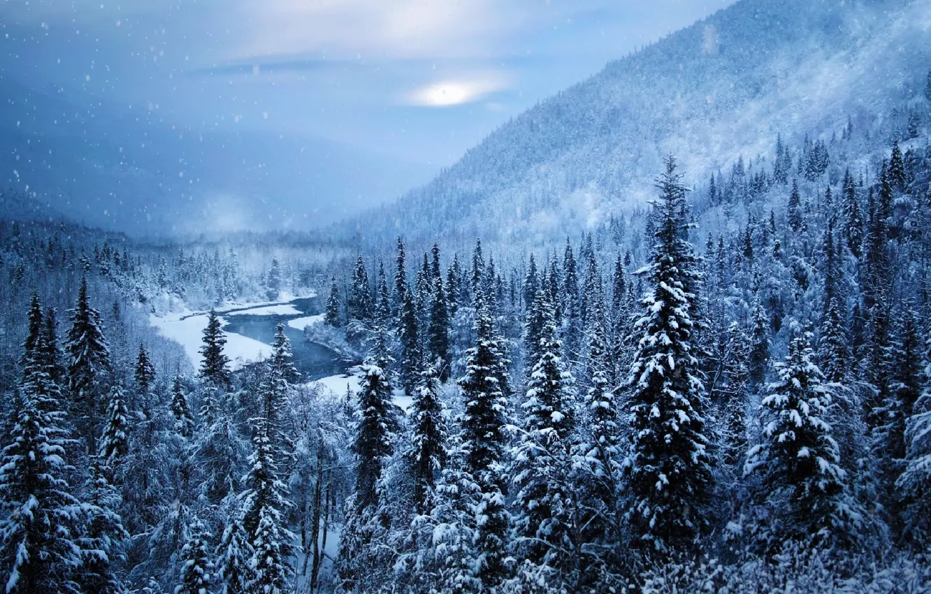 Photo wallpaper winter, forest, the sky, mountains