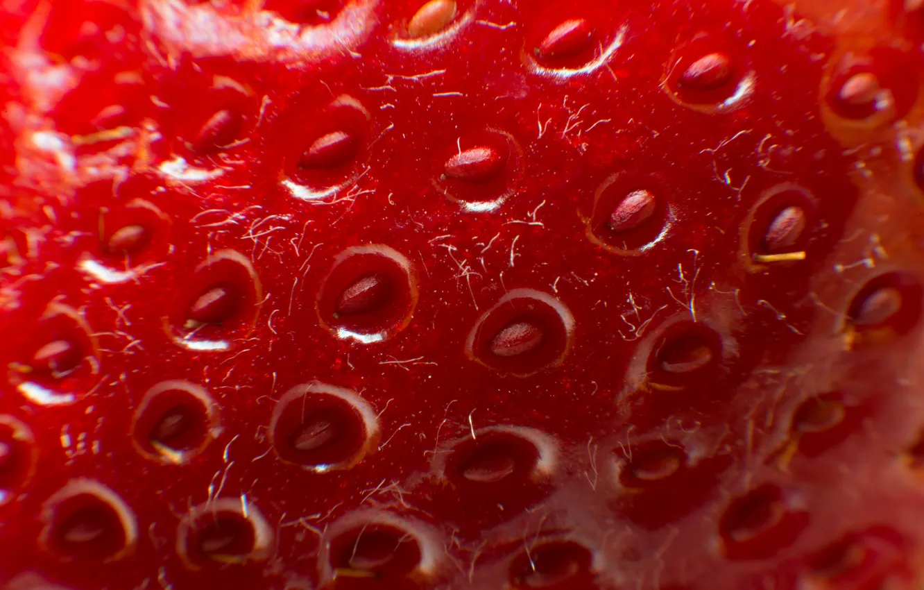 Photo wallpaper texture, strawberry, berry