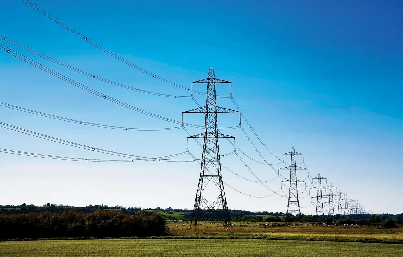 Photo wallpaper road, field, forest, the sky, grass, trees, landscape, nature