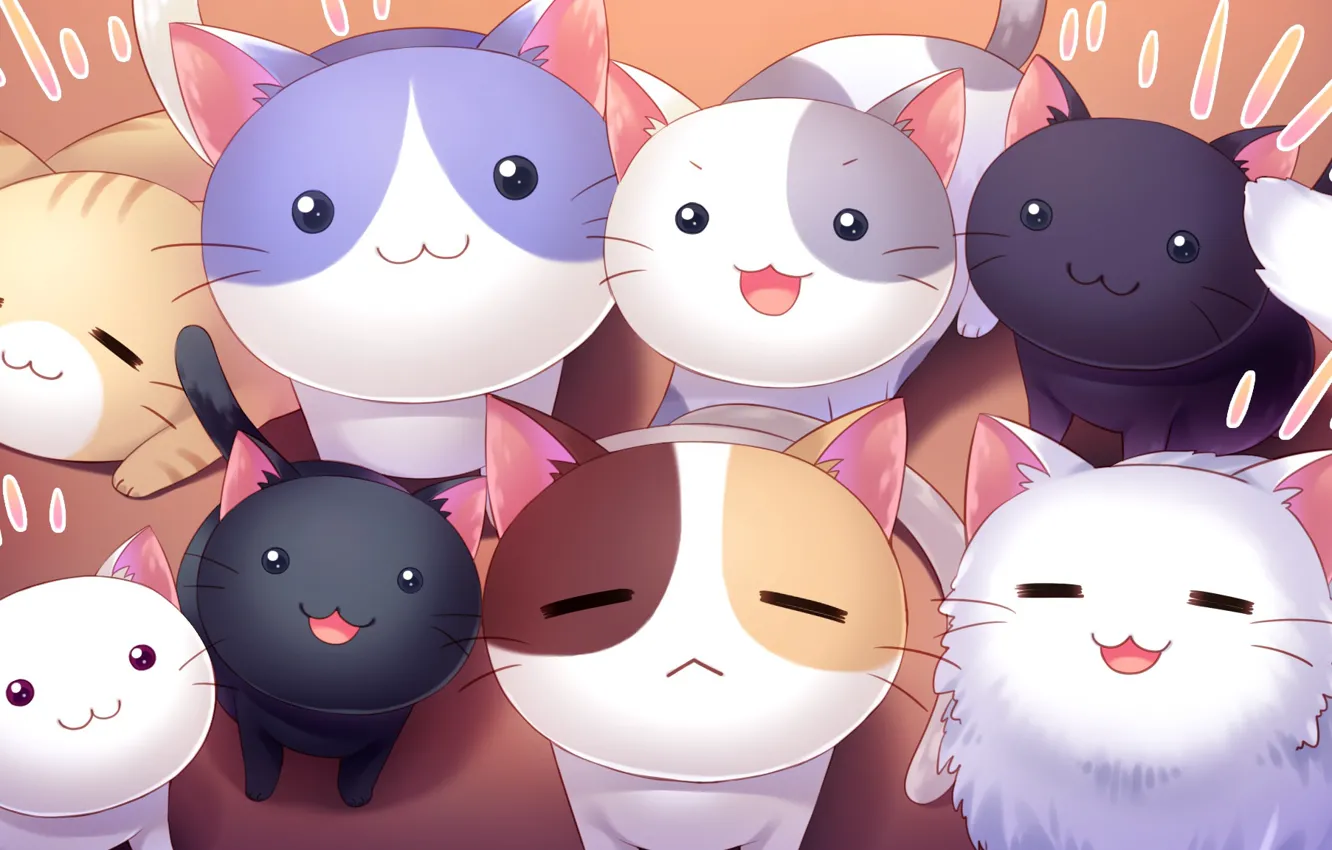 Photo wallpaper kittens, cuties, seals, nyashki, Nyan Cafe Macchiato