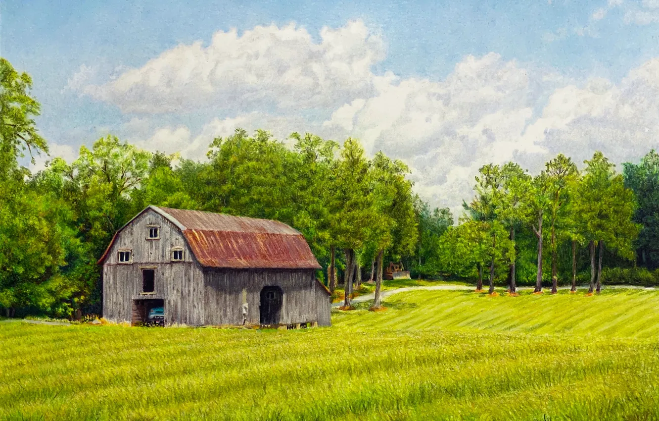 Photo wallpaper greens, field, forest, summer, the sky, grass, clouds, trees