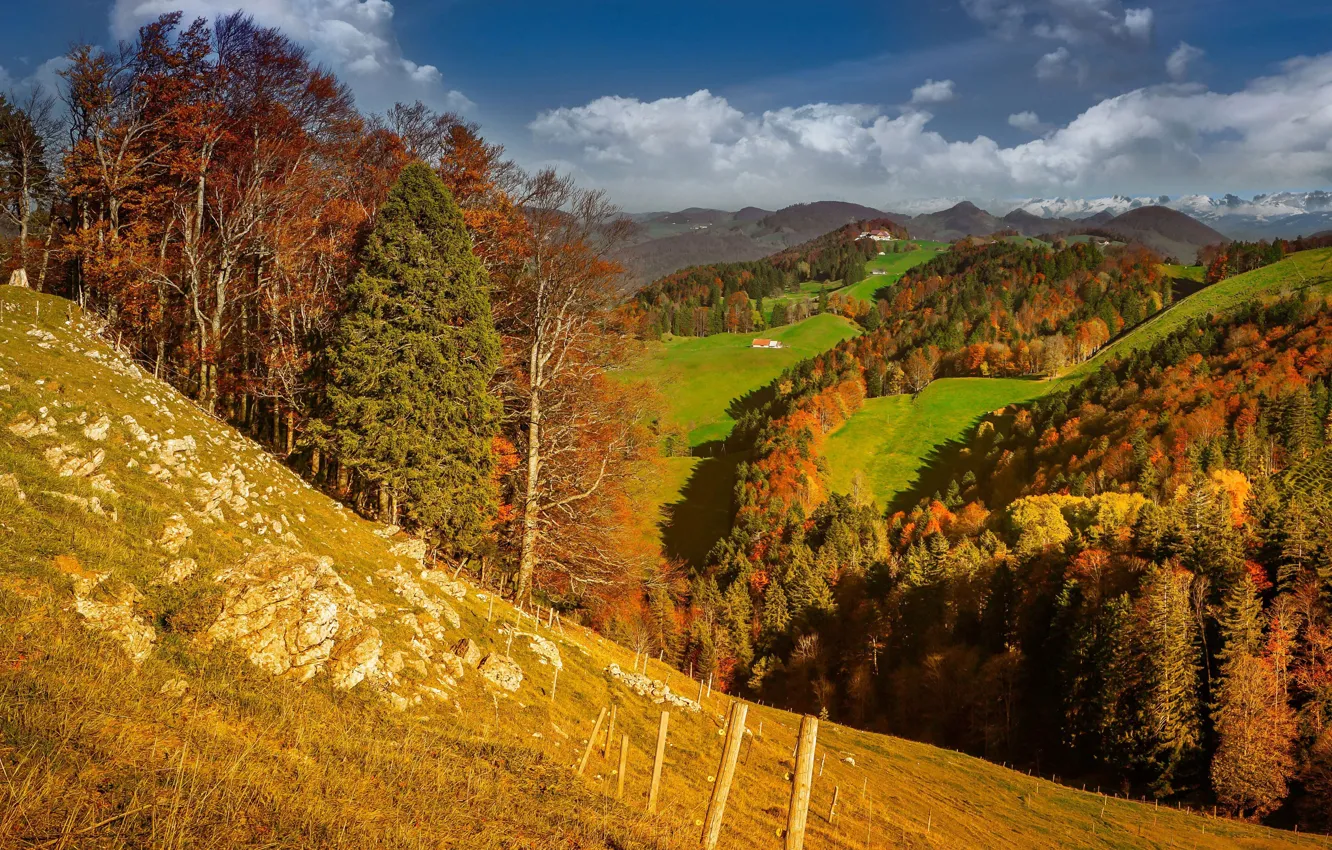 Photo wallpaper autumn, the sky, the sun, clouds, trees, hills, field, Switzerland