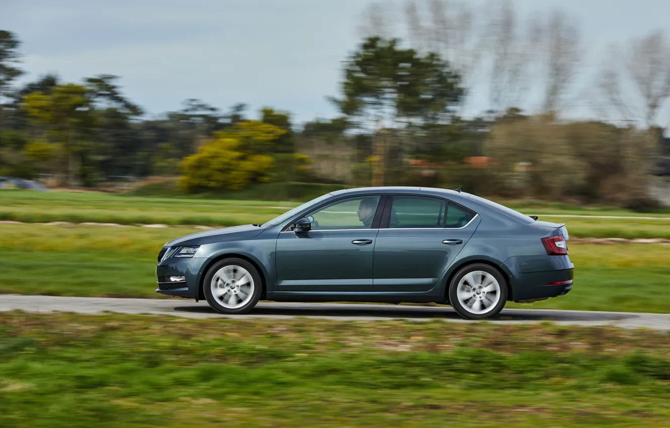 Photo wallpaper field, sedan, side view, Skoda, Skoda, Octavia, 2017