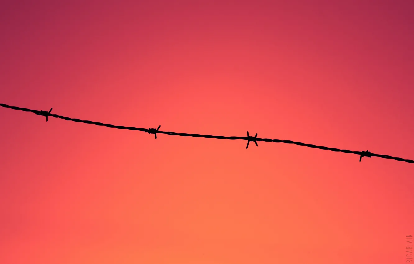 Photo wallpaper sunset, fence, wire