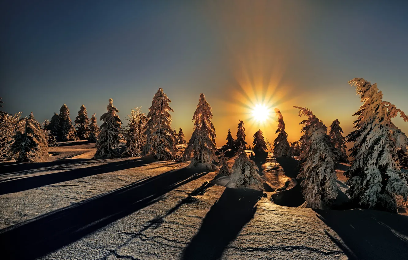 Photo wallpaper winter, forest, the sky, the sun, rays, light, snow, sunset