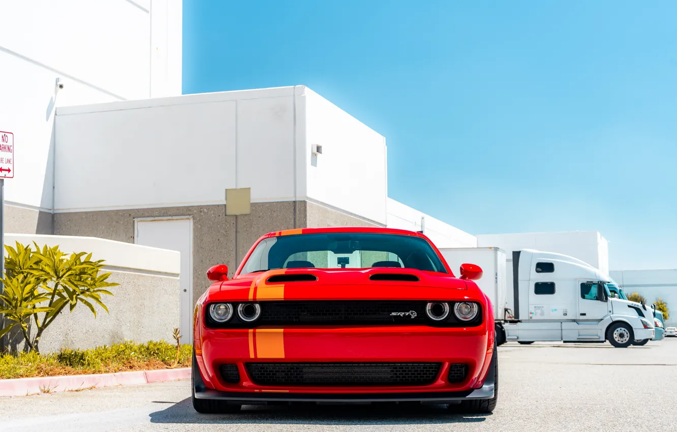 Photo wallpaper Dodge, Challenger, Truck, SRT Hellcat