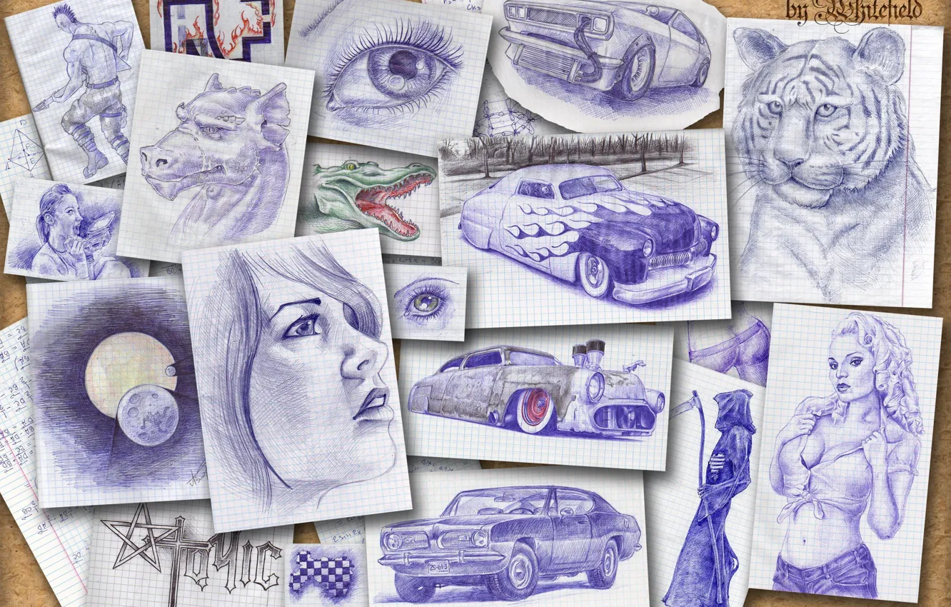 Photo wallpaper animals, people, drawings, cars, Board of memories