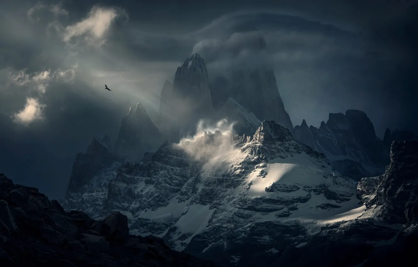 Photo wallpaper the sky, clouds, mountains, bird, South America, Patagonia, Condor, Fitzroy