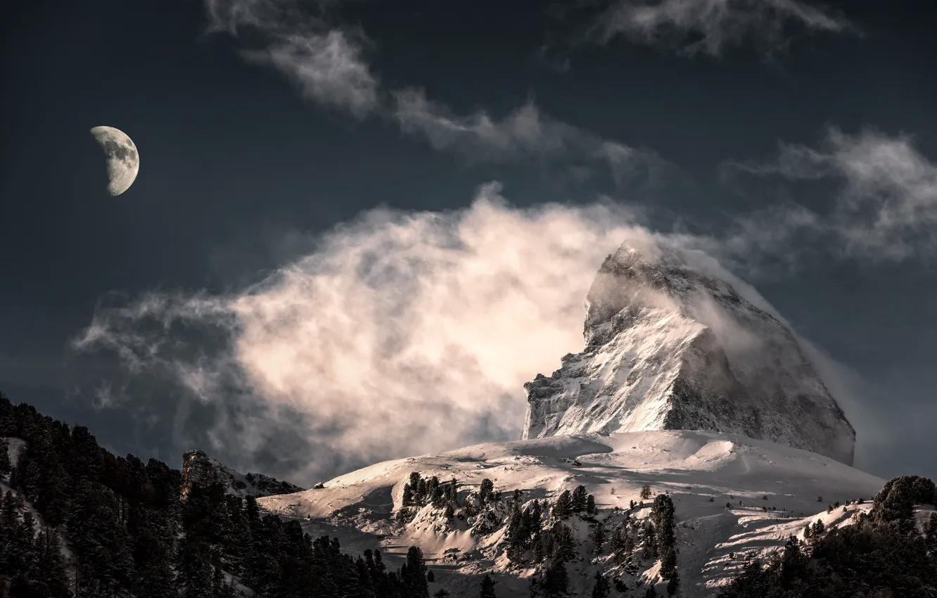 Photo wallpaper forest, the sky, clouds, light, snow, mountains, night, rocks