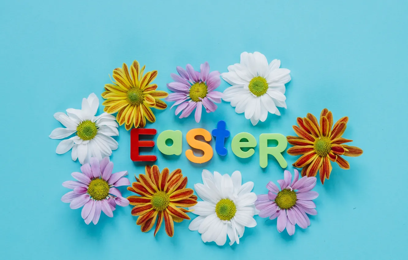 Photo wallpaper flowers, letters, holiday, Easter, chrysanthemum