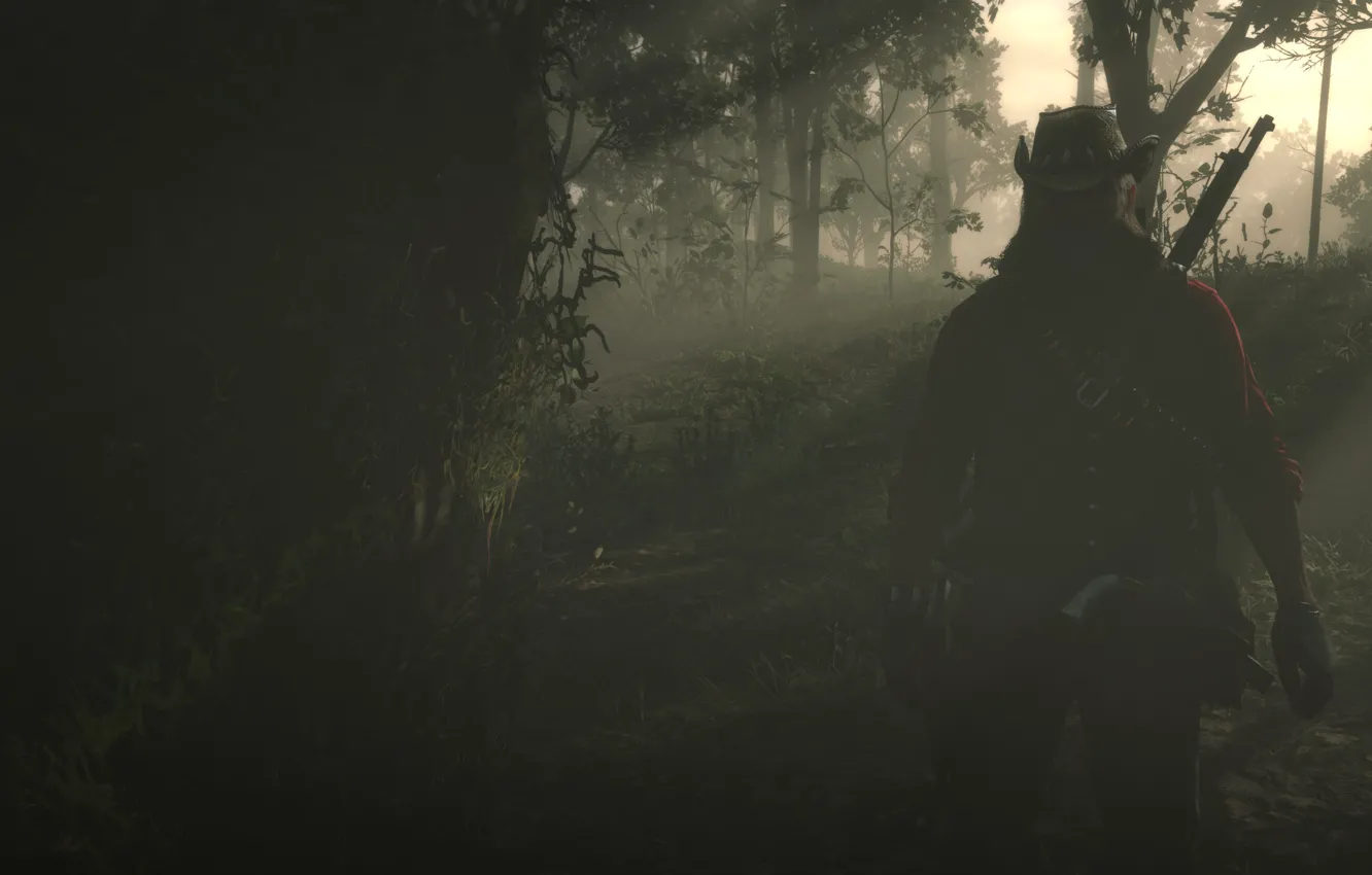 Photo wallpaper HDR, light, game, fog, John, John Marston, shade, UHD