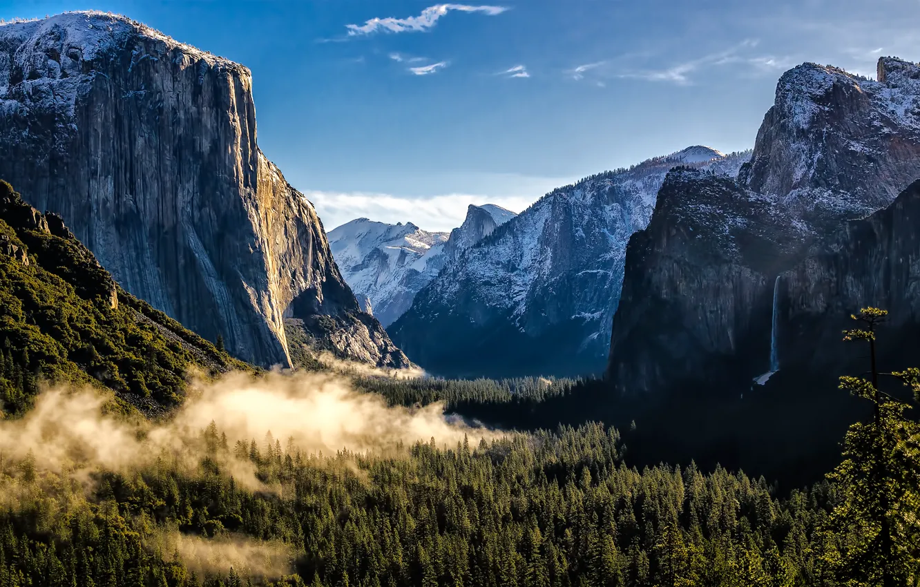 Photo wallpaper forest, mountains, USA, USA, Yosemite national Park, California, Yosemite National Park, State California