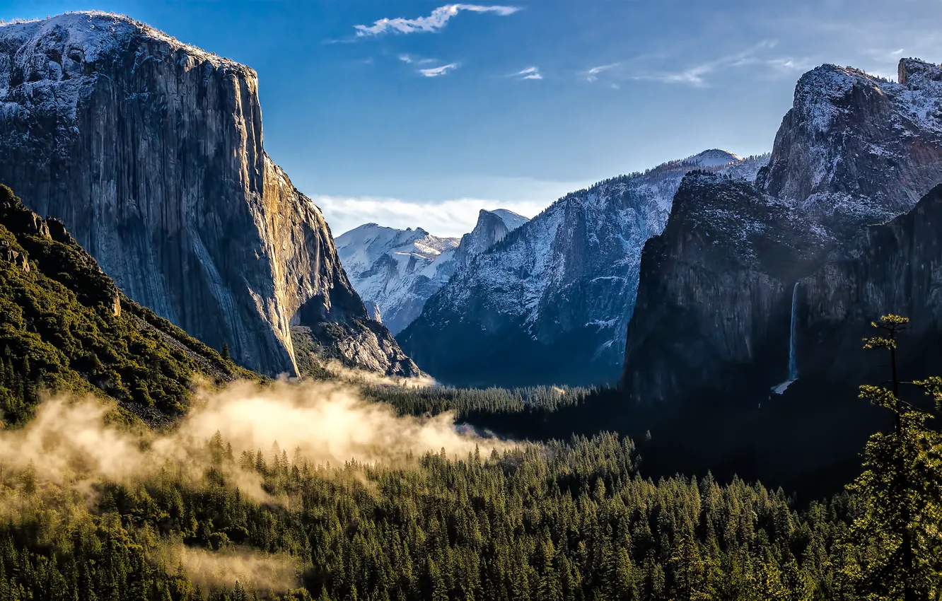 Photo wallpaper forest, mountains, USA, USA, Yosemite national Park, Yosemite National Park, State California, California