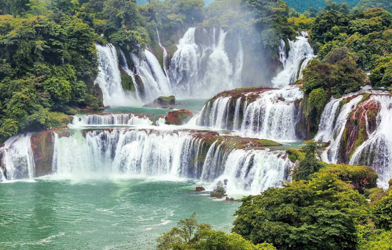 Photo wallpaper forest, trees, rocks, shore, foliage, waterfall, stream, pair