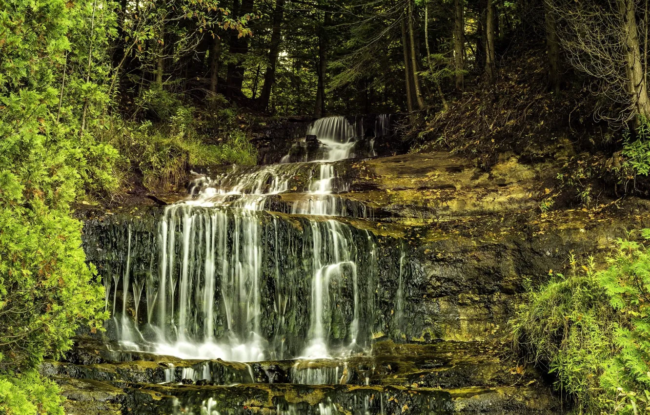 Photo wallpaper forest, rocks, waterfall