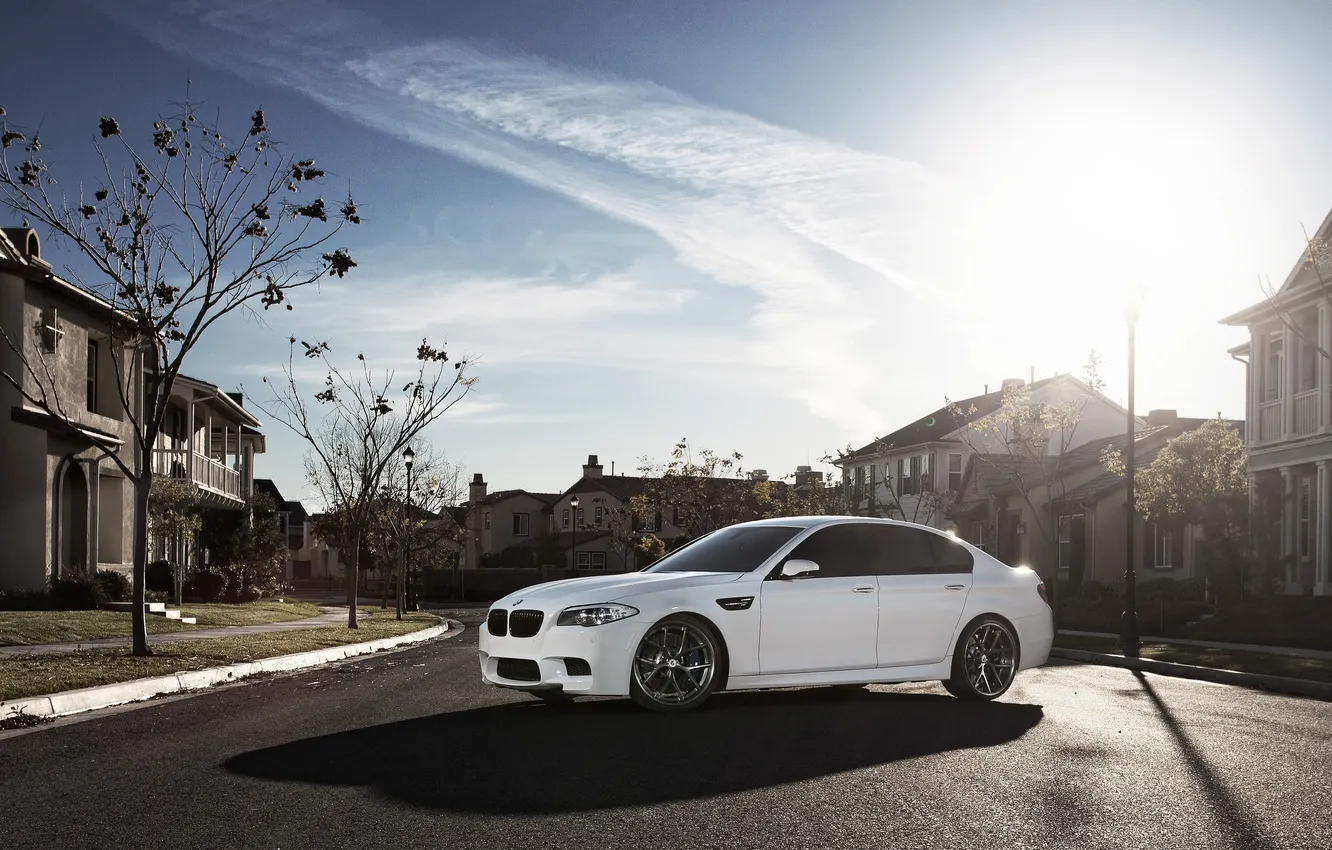 Photo wallpaper white, trees, posts, BMW, shadow, BMW, white, trees