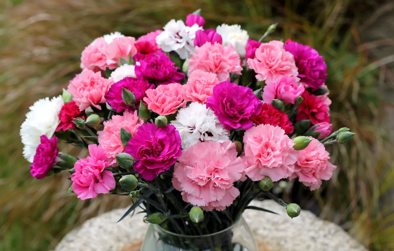 Photo wallpaper flowers, bouquet, clove