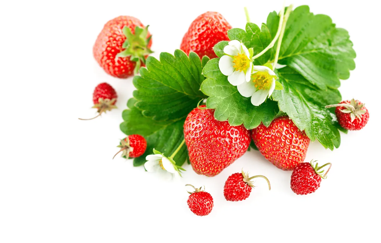 Photo wallpaper flowers, berries, foliage, strawberries, strawberry